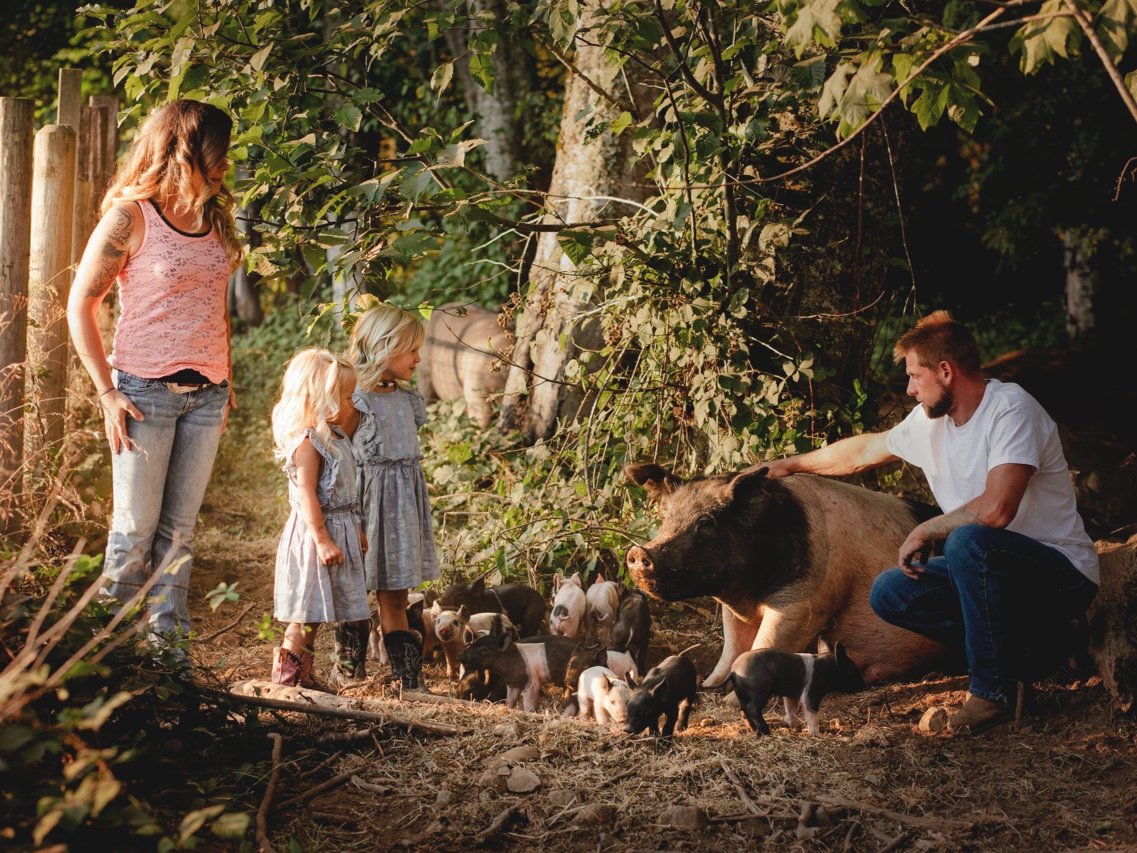A family interacts with a friendly pig and its piglets in a lush, green farm setting, showcasing a nurturing relationship with animals. Two young girls in dresses and cowboy boots observe the scene, while an adult man gently pets the pig. Sunlight filters through the trees, creating a warm, inviting atmosphere.
